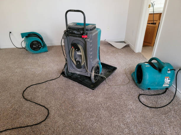 Best Water damage cleanup near me  in Bret Harte, CA