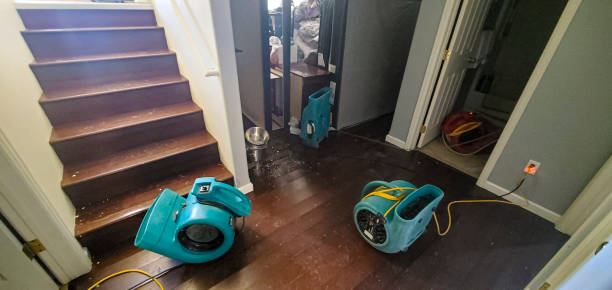 Best Carpet water damage restoration  in Bret Harte, CA