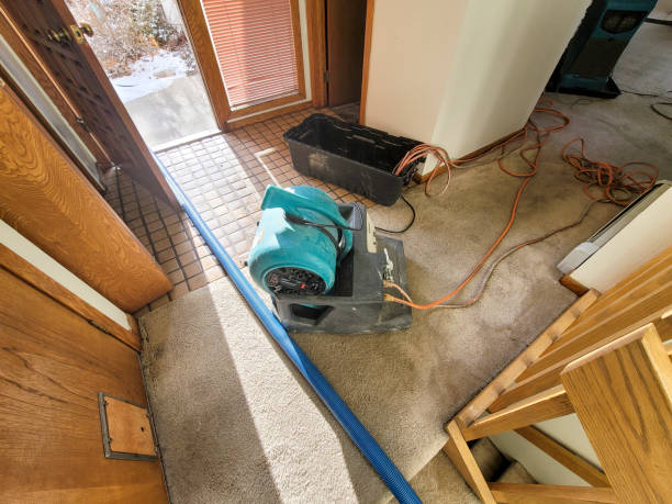 Best Basement water damage restoration  in Bret Harte, CA
