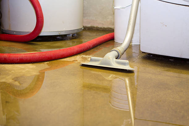  Bret Harte, CA Water damage restoration Pros