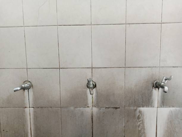 Best Ceiling water damage repair  in Bret Harte, CA